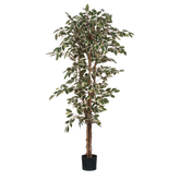Ficus Kunstplant - H180 x Ø90 cm - Groen Bont