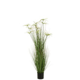 J-Line Cyperus Alternifolius 11 Koppen In Pot Pvc Groen Large