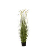J-Line Grassen+Staarten In Pot Plastiek Groen Large