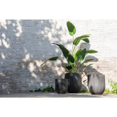 J-Line Strelitzia Plastiek Groen Small