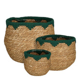 Jorck Plantenmand - Set van 3 - H24 x Ø26 cm - Zeegras - Groen, Bruin