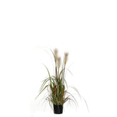 Pluimgras Foxtail Kunstplant - H81 x Ø45 cm - Wit