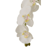 J-Line Orchidee In Aarde Plastiek Wit/Groen Extra Large