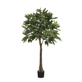 Pachira Kunstplant - H120 x Ø50 cm - Groen