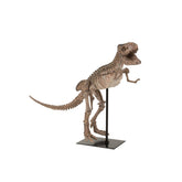 J-Line Dinosaurus T-Rex Op Voet Poly Lichtbruin