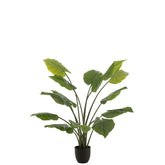 J-Line plant Taro Wild in pot - kunststof - groen - large