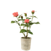 J-Line Roos 5 Koppen In Pot Plastiek/Textiel Roze/Groen