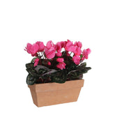 Cyclaam Kunstplant in Balkonbak Slate - L29 x B13 x H33 cm - Roze