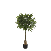 Pachira Kunstplant - H80 x Ø60 cm - Groen