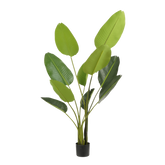 Strelitzia Kunstplant in Bloempot - H150 x Ø25 cm - Groen