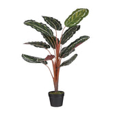 Calathea Roseopicta Kunstplant - H90 x Ø60 cm - Groen