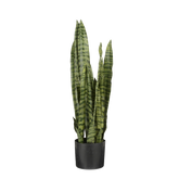 Sanseveria Kunstplant in Bloempot - H80 x Ø15 cm - Groen
