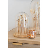 J-Line Stolp Droogbloemen Ecru/Bruin Glas Hout Groot