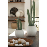 J-Line Cactus 3 Stuks In Pot Kunststof Groen Large
