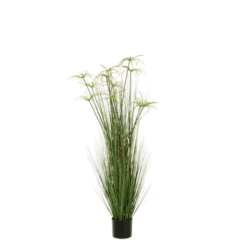 J-Line Cyperus Alternifolius 11 Koppen In Pot Pvc Groen Large