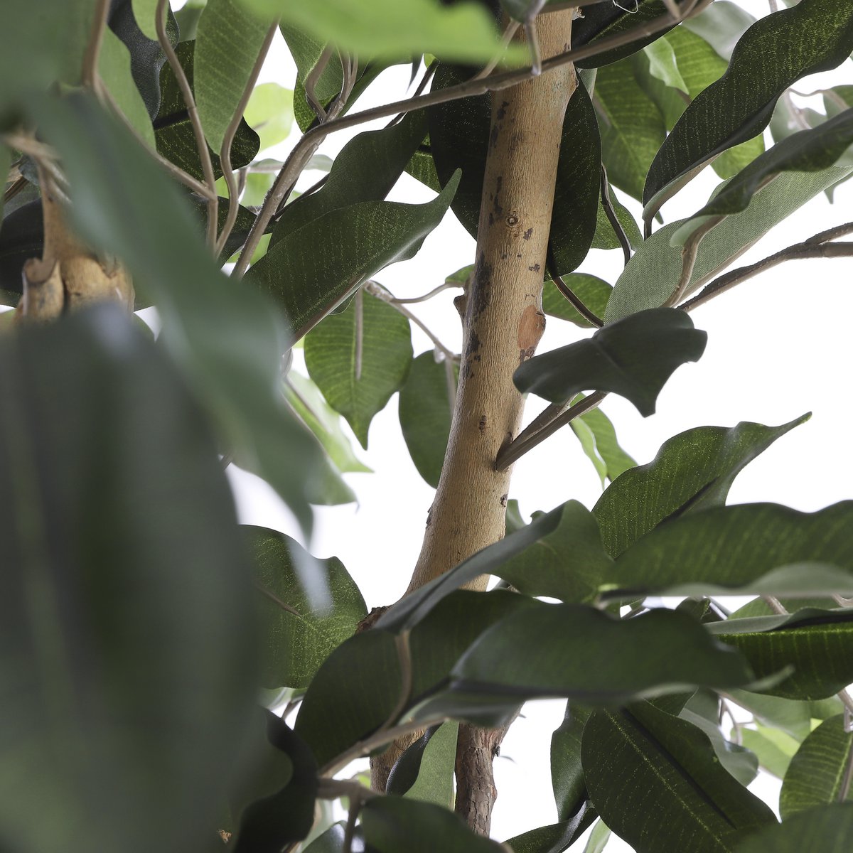 Ficus Kunstplant - H210 x Ø100 cm - groen