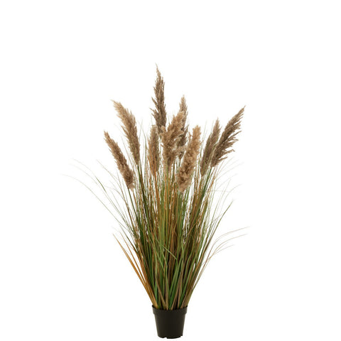 J-Line Pampas Gras 9 Koppen In Pot Pvc Groen/Beige Medium