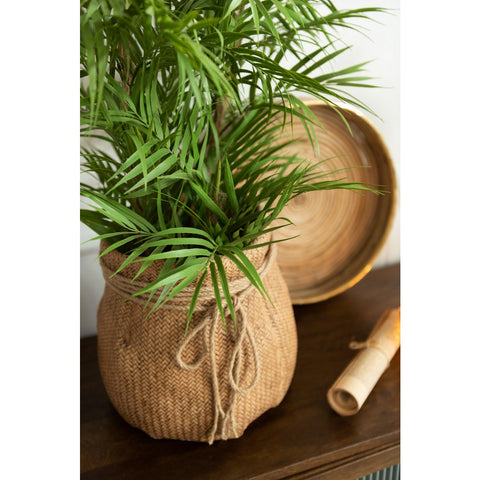 J-Line Bergpalm In Pot Plastiek Groen/Zwart Small