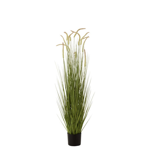 J-Line Grassen+Staarten In Pot Plastiek Groen Large