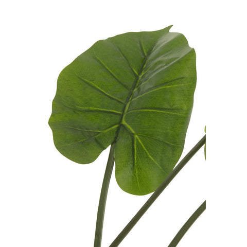 J-Line plant Taro Wild in pot - kunststof - groen - large