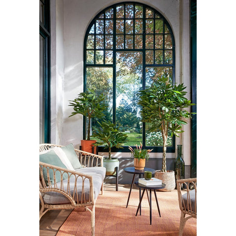 Pachira Kunstplant - H60 x Ø60 cm - Groen