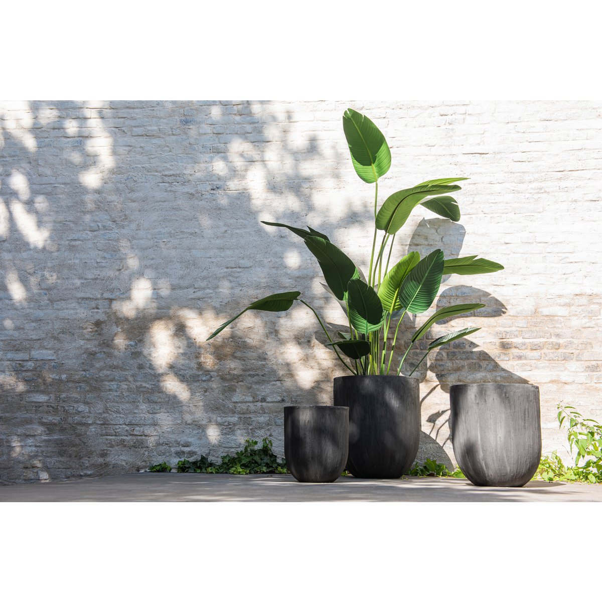 J-Line Strelitzia Plastiek Groen Small
