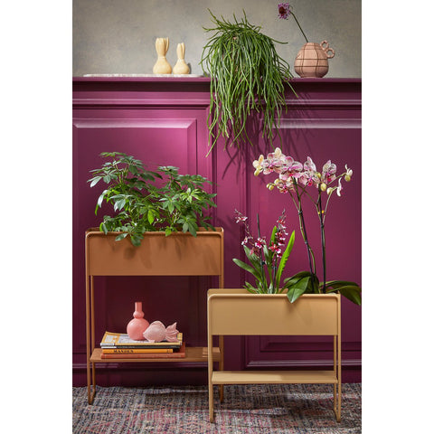Cubica Staande Plantenbak - L50 x B22 x H64 cm - Metaal - Bruin