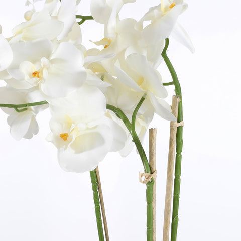 Phalaenopsis Kunstplant in Bloempot Tusca - H66 x Ø38 cm - Crème