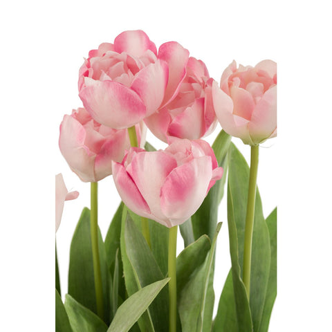 J-Line Tulpen In Pot Cement Grijs Plastiek Roze/Groen