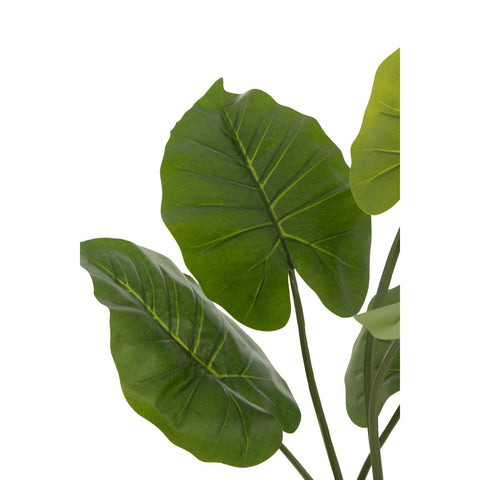J-Line Taro Wild In Pot Plastiek Groen Small