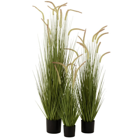 J-Line Grassen+Staarten In Pot Plastiek Groen Large