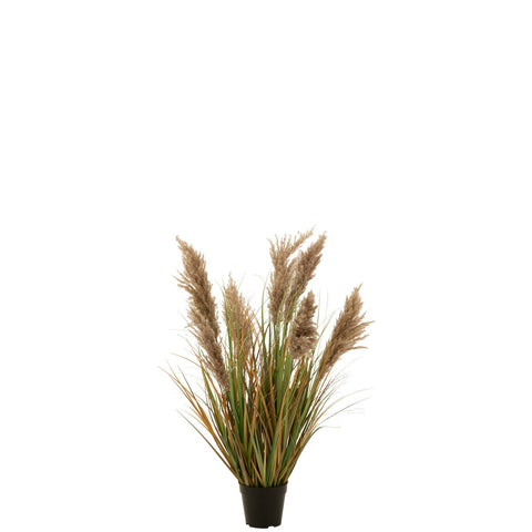 J-Line pampas gras 7 koppen in pot - kunststof - groen/beige - small