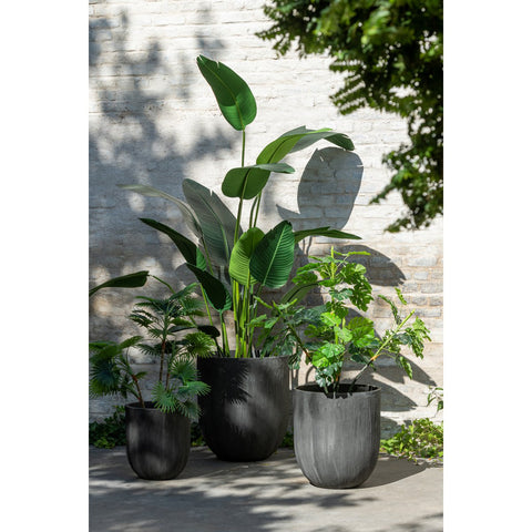 J-Line Chinese Vijg Ficus Boom In Pot Plastiek Groen/Zwart Large