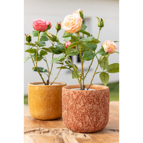 J-Line Roos 5 Koppen In Pot Plastiek/Textiel Geel/Groen