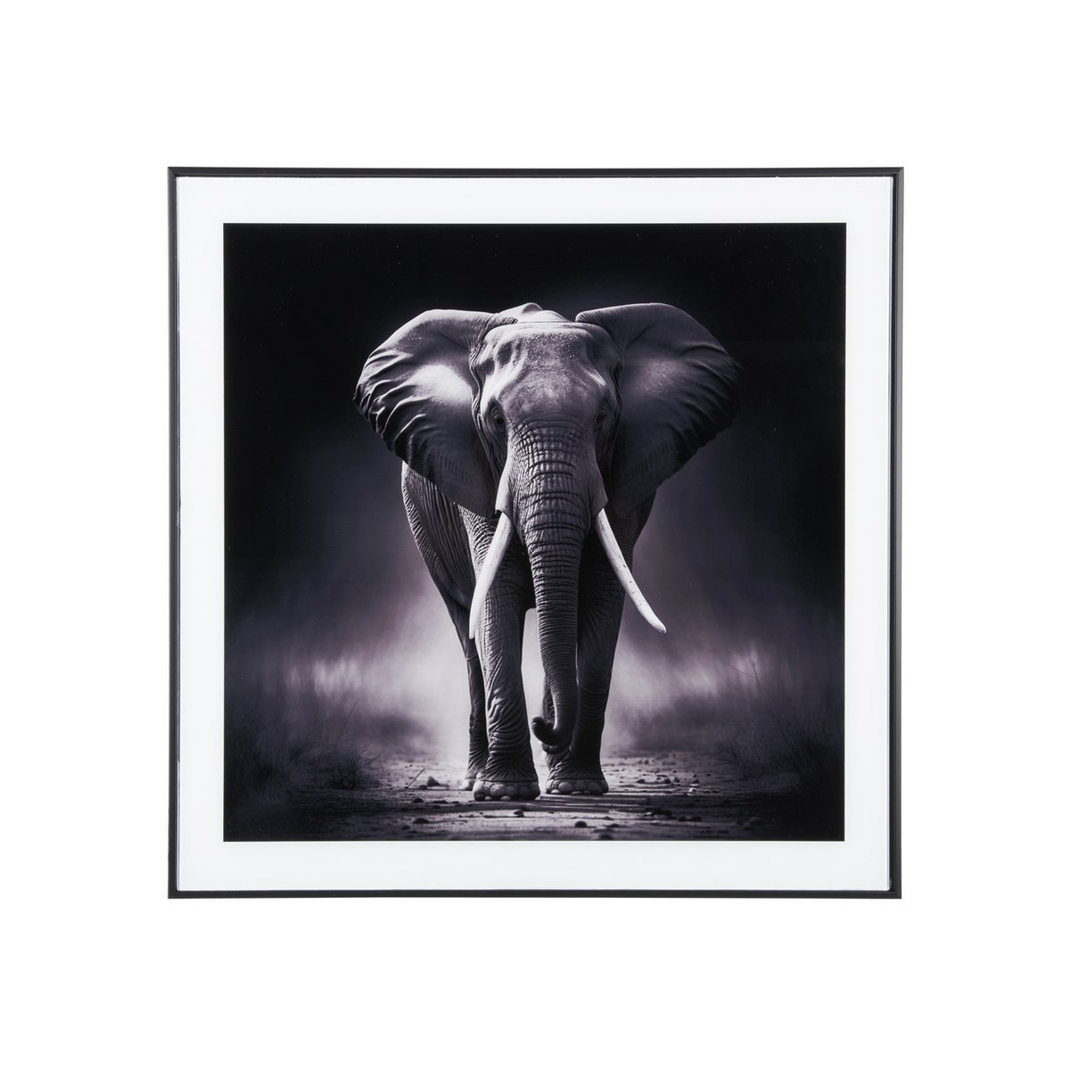 Fotokunst Olifant