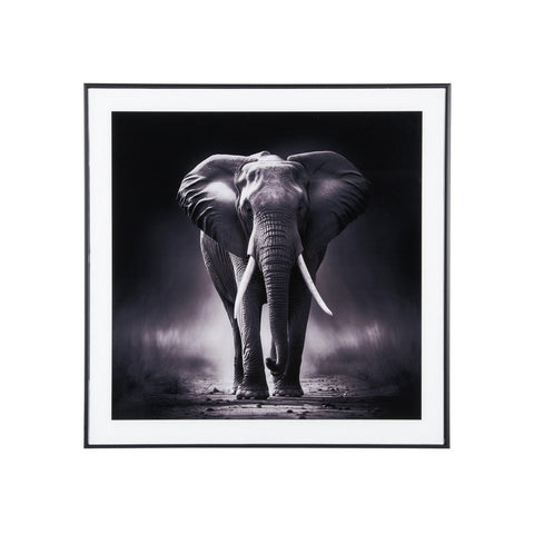 Fotokunst Olifant