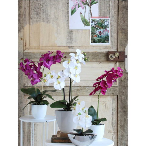 Phalaenopsis Kunstplant in Bloempot Tusca - H66 x Ø38 cm - Crème