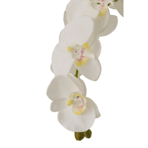 J-Line Orchidee In Aarde Plastiek Wit/Groen Extra Large