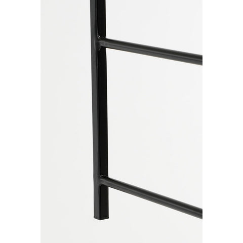 Dani Plantenrek Hangend - L54 x B10 x H90 cm - Metaal - Zwart