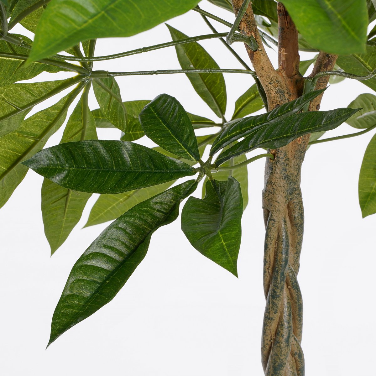 Pachira Kunstplant - H60 x Ø60 cm - Groen