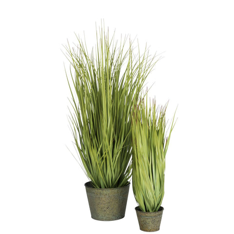 J-Line Grassen Wild In Pot Metaal Groen Plastiek Groen Large