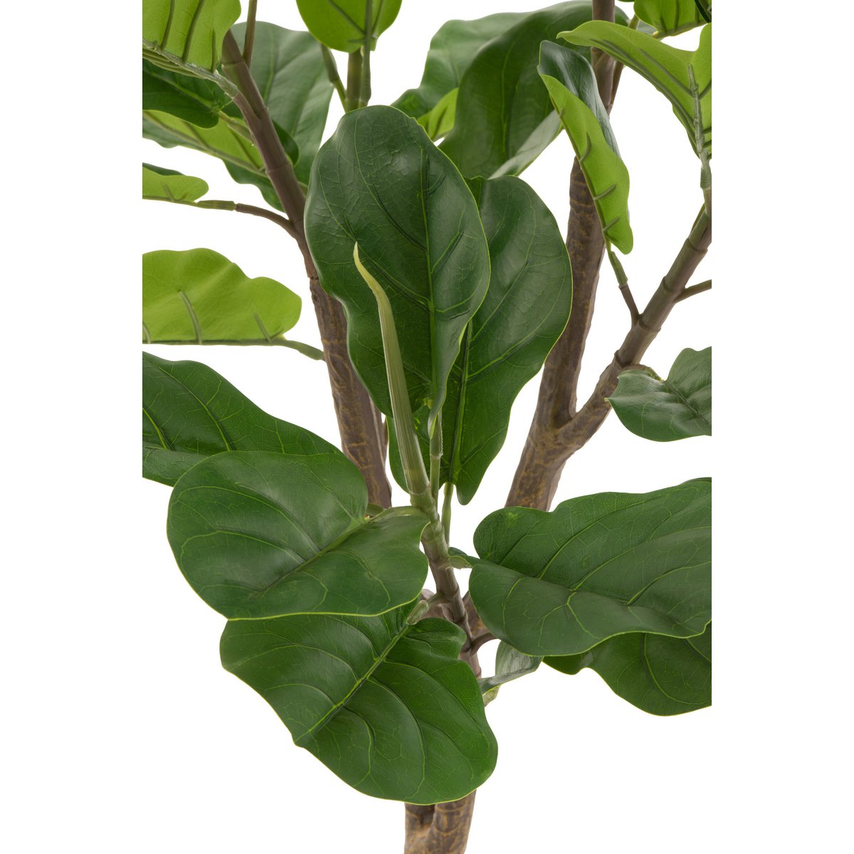 J-Line Vioolbladplant Plastiek Groen