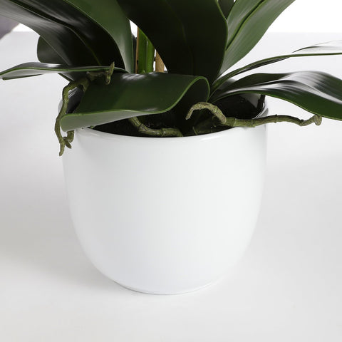 Phalaenopsis Kunstplant in Bloempot Tusca - H66 x Ø38 cm - Crème