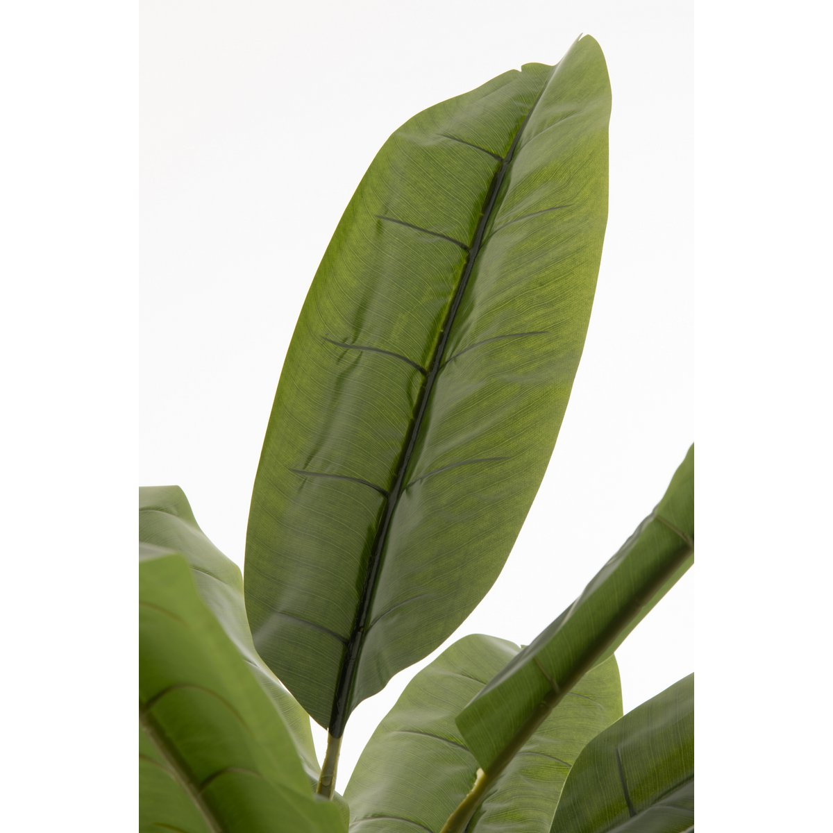 J-Line Vioolbladplant Plastiek Groen