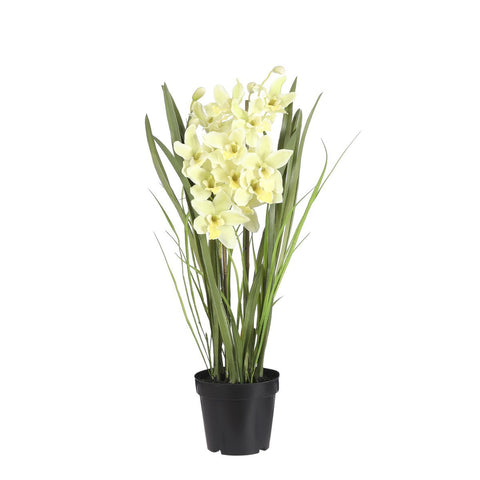Cymbidium Orchidee Kunstplant - H97 x Ø20 cm - Lichtgroen