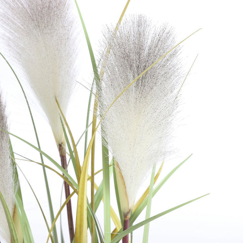 Pluimgras Foxtail Kunstplant - H81 x Ø45 cm - Wit