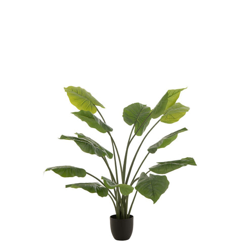 J-Line plant Taro Wild in pot - kunststof - groen - large