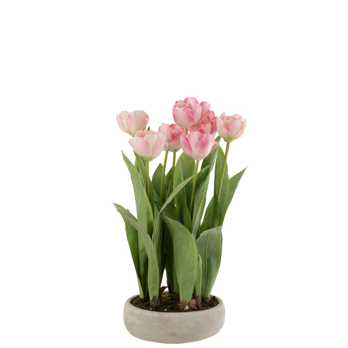 J-Line Tulpen In Pot Cement Grijs Plastiek Roze/Groen