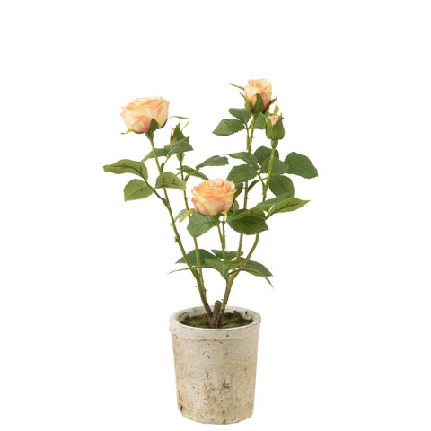 J-Line Roos 5 Koppen In Pot Plastiek/Textiel Geel/Groen