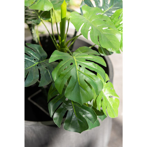 J-Line Chinese Vijg Ficus Boom In Pot Plastiek Groen/Zwart Large